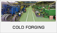 COLD FORGING